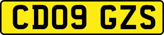 CD09GZS