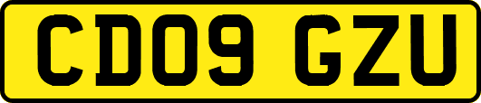 CD09GZU