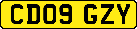 CD09GZY