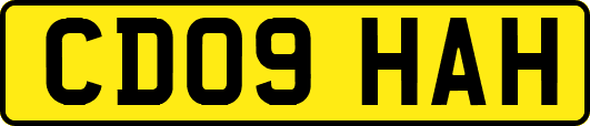 CD09HAH
