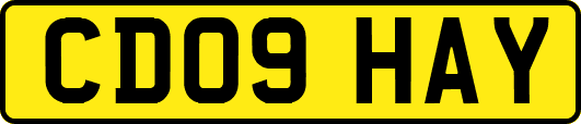 CD09HAY