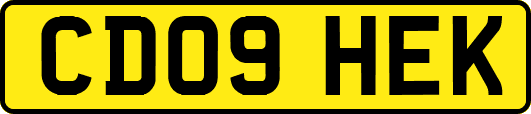 CD09HEK