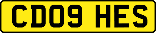 CD09HES
