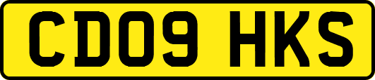 CD09HKS