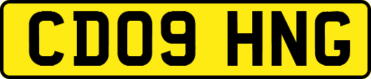 CD09HNG