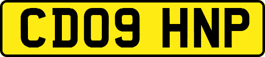 CD09HNP