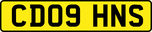CD09HNS