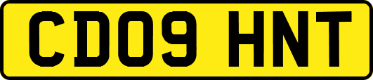 CD09HNT