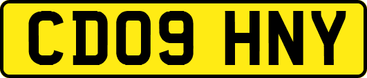 CD09HNY