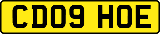 CD09HOE