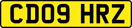 CD09HRZ