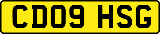 CD09HSG