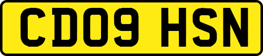 CD09HSN