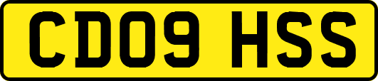 CD09HSS