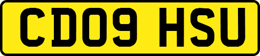 CD09HSU