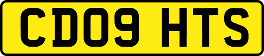 CD09HTS