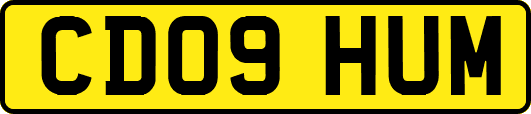 CD09HUM