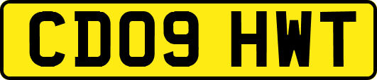 CD09HWT