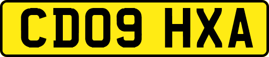CD09HXA