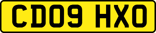 CD09HXO