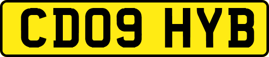 CD09HYB
