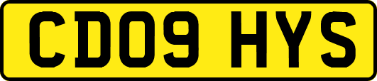 CD09HYS