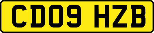 CD09HZB