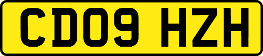 CD09HZH