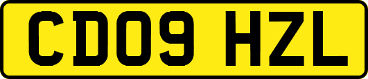 CD09HZL