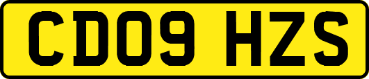CD09HZS