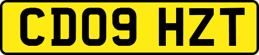 CD09HZT