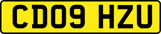CD09HZU