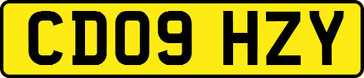 CD09HZY