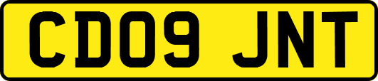 CD09JNT