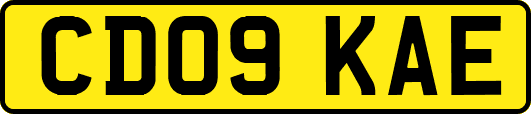 CD09KAE