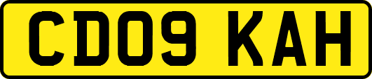 CD09KAH