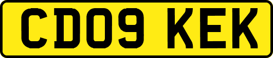 CD09KEK