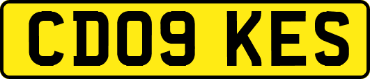 CD09KES