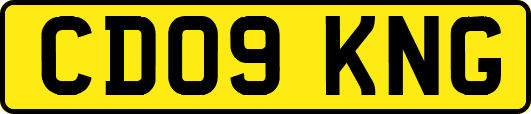 CD09KNG