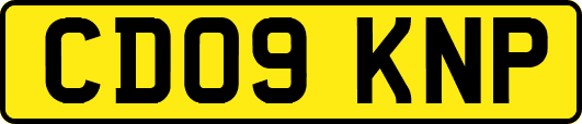 CD09KNP