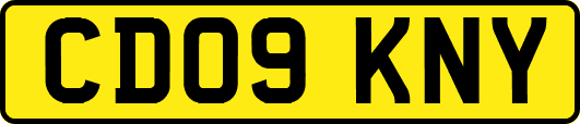 CD09KNY