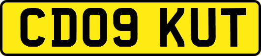 CD09KUT