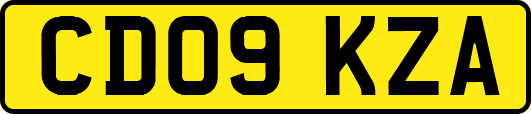 CD09KZA