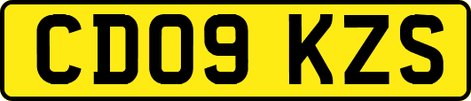 CD09KZS