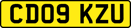 CD09KZU