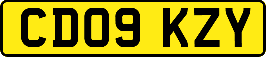 CD09KZY
