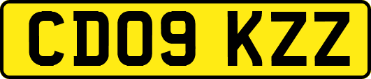 CD09KZZ