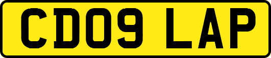 CD09LAP