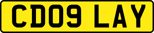 CD09LAY