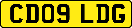 CD09LDG